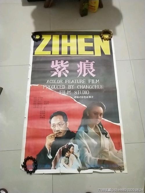 巴黎九大 Diploma
